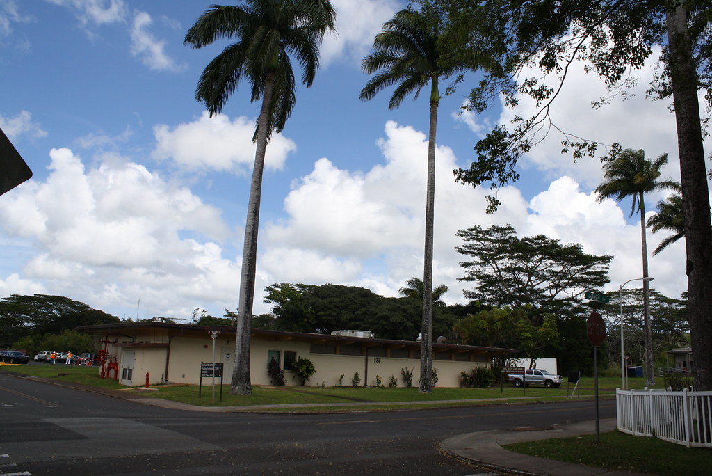 A low, single-story clinic building exterior with tall palm trees and a parking area.
