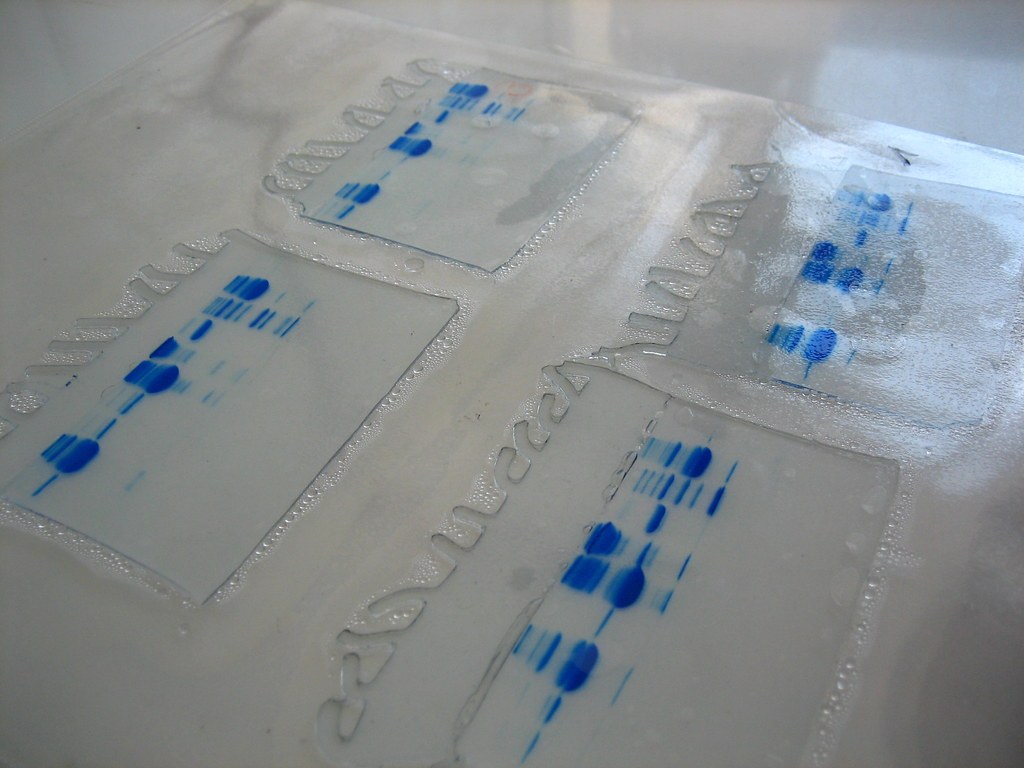 Ridgeline Therapeutics Closes $38 Million Round to Compete for Biotech Talent